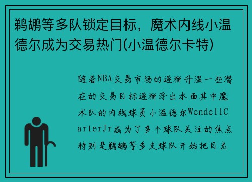 鹈鹕等多队锁定目标,魔术内线小温德尔成为交易热门(小温德尔卡特)